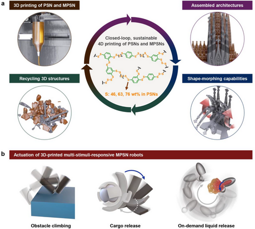 KRICT Araştırmacıları Yumuşak Robotik Alanında Yenilikçi 4D Baskılı Polimerler Geliştirdi